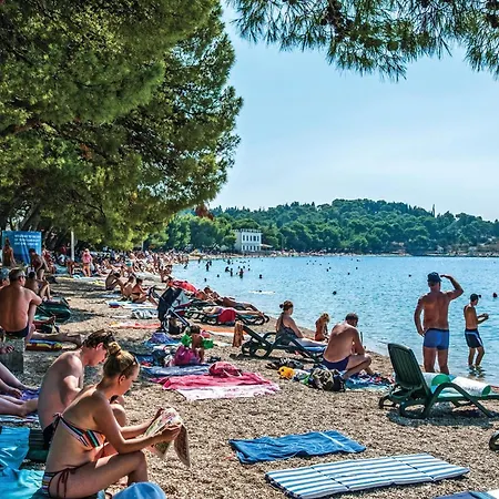 Apartment Cozy In With Wifi *